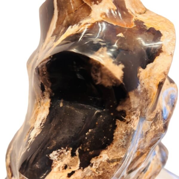 Carved black opal flame specimen sians emporium Polished black opal flame carving displaying glossy jet black body tone creamy tan veining and natural matrix patterns on an isolated white background